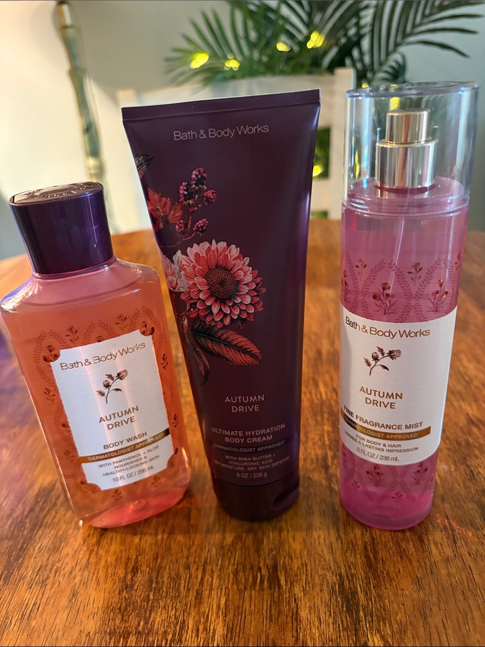 Nwt Bundle of “Autumn Drive” by B&B
